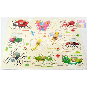 กระดานไม้แมลงสอนคำศัพท์ 10 คำ #3681