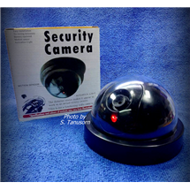กล้องวงจรปิดหลอก DUMMY CCTV CAMERA