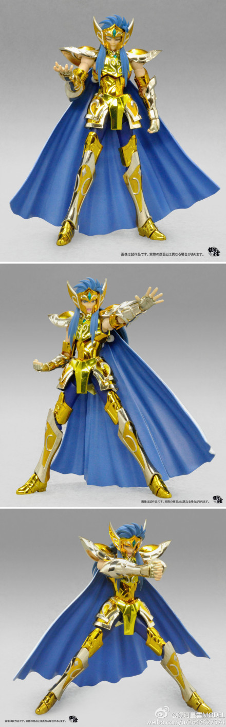 Saint Cloth Myth EX Aquarius Camus