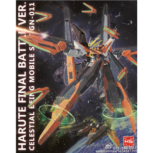 [HS03] HG Harute gundam + GN Boosters