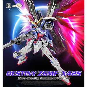 [DM12] MG DESTINY GUNDAM VER.MB