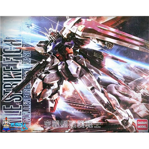 [DB30] MG Aile Strike Gundam Ver.RM