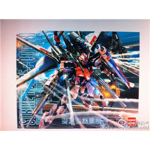 [DB29] MG Strike Rouge + Ootori