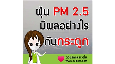 ฝุ่น PM 2.5 มีผลอย่างไรต่อกระดูก 