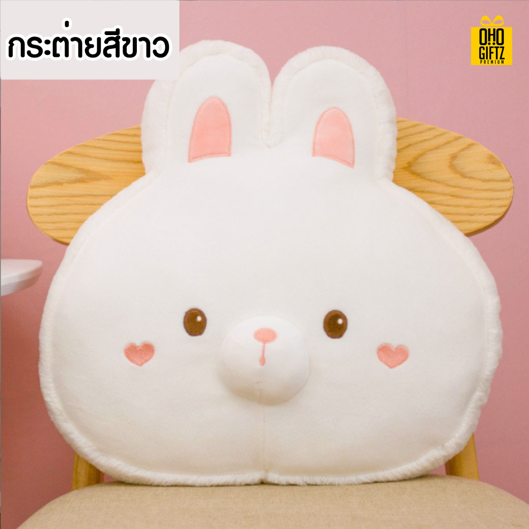 หมอนตุ๊กตา สกรีนชื่อ  สกรีนโลโก้ ทำเป็นของพรีเมี่ยมได้ 