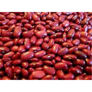 [083] Raj Ma (Kidney Beans)
