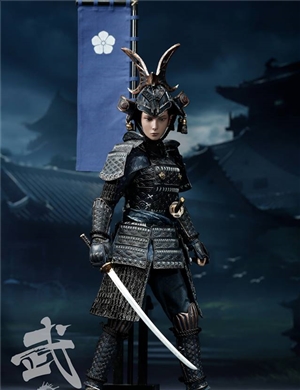  POPTOYS W003 The Second of Warrior Women Series: The Butterfly Helmets Female Warriors - The Old Armor (Standard Version)