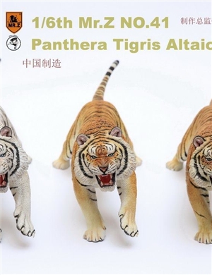 Mr.Z Animal Model No.41: 1/6th Panthera Tigris Altaica (all 3 colors)