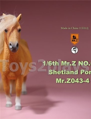 MR. Z Animal Model No.43: 1/6th Shetland Pony (all 5 colors)