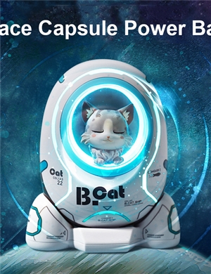 Cat On SpaceShip Powerbank Hamster SpaceShip