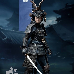  POPTOYS W003 The Second of Warrior Women Series: The Butterfly Helmets Female Warriors - The Old Armor (Standard Version)
