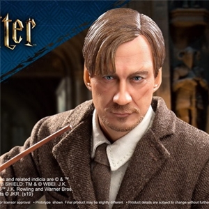 STAR ACE Toys Harry Potter Prof. Remus Lupin SA0076 (NX
