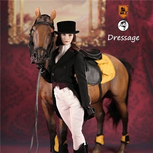 MR.Z & MULTIFUN MF004B 1/6 Dressage Women's Equestrian Wear Set (including Brown horse racing) 