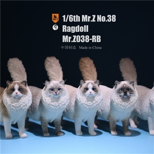 Mr. Z Animal Model No.38: 1/6th Ragdoll (all 5 colors)