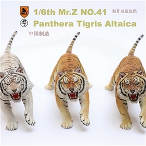 Mr.Z Animal Model No.41: 1/6th Panthera Tigris Altaica (all 3 colors)