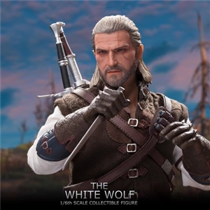 Master Team MTT001 1/6 Demon Hunter White Wolf Geralt