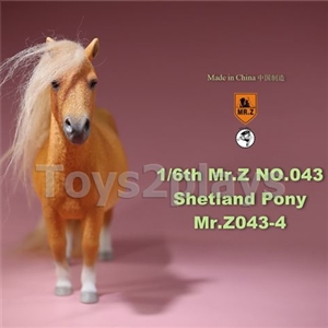 MR. Z Animal Model No.43: 1/6th Shetland Pony (all 5 colors)