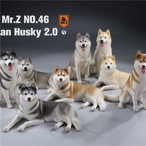 Mr.Z MRZ046 1/6 Siberian Husky 2.0 8 colour