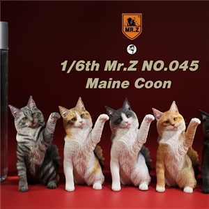 Mr.Z MRZ045 1/6 Maine Coon Cat 5 colour