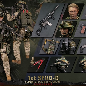 DAMTOYS 78077 1/6 1st SFOD-D Combat Applications Group TEAM LEADER