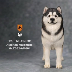 Mr.Z MRZ032-AM001 Alaskan Malamute Black and White 