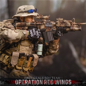DAMTOYS 1/6 Operation Red Wings : NAVY SEALS SDV TEAM 1 - Team Leader