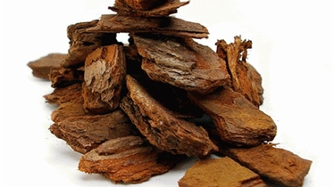 สารสกัดจากเปลือกสน (pine bark extract)